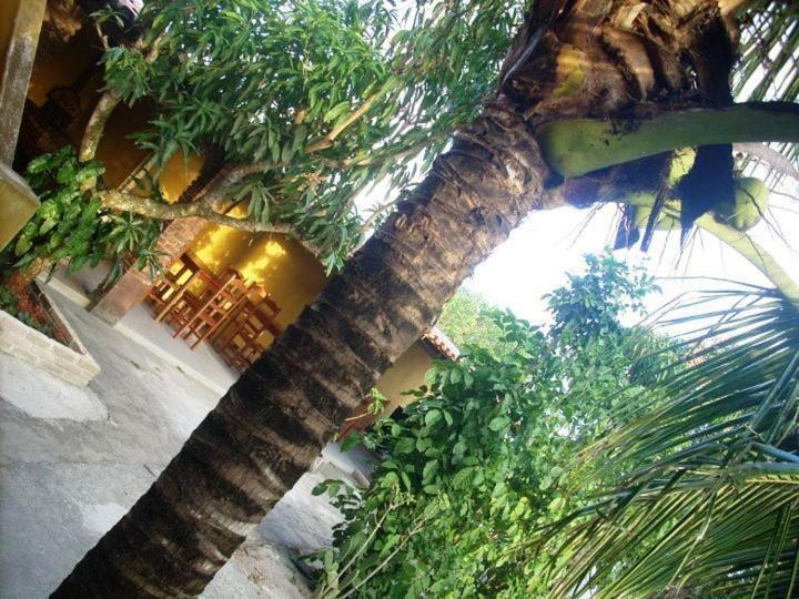Pousada Agua De Coco Prado Kültér fotó